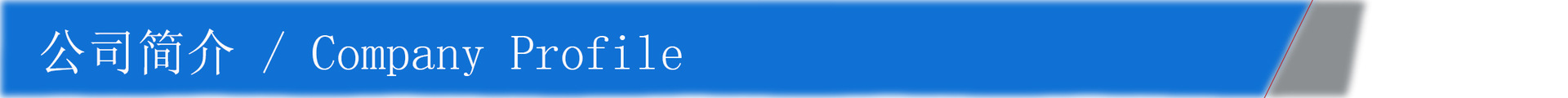 公司簡介
