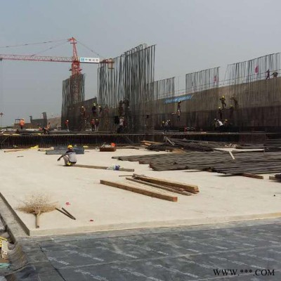 ** 天然橡膠止水帶 中埋式止水帶 長(zhǎng)期供應(yīng)各種橡膠制品 工地施工現(xiàn)場(chǎng)