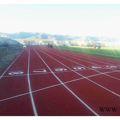 信聯(lián)SJPD 運(yùn)動跑道 健身步道  塑膠跑道 橡膠跑道 運(yùn)動跑道廠家 現(xiàn)貨供應(yīng) 支持加工定制