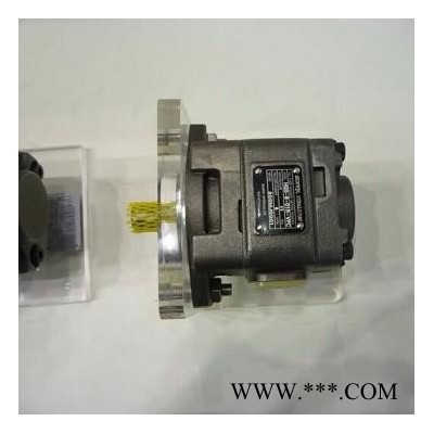 塑料機(jī)械伺服NB5-G80F齒輪泵 HG2-160-01R-VPC