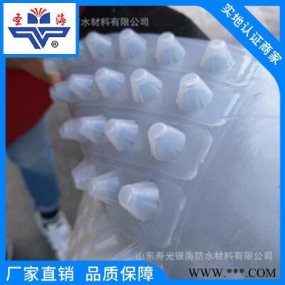 【銀海防水】 透明塑料板排水板 疏水板 塑料凸片 防排水保護板 聚乙烯HDPE 夾層塑料板 塑料排水凸片  非標