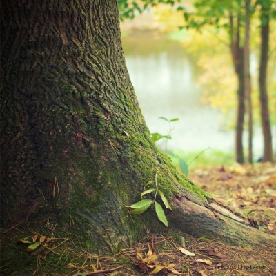 【萬水化工商城】TPU塑膠跑道專用紫外線吸收劑1220 防老劑  免費(fèi)拿樣 防老化劑防黃劑 性價比高型 馬蹄蓮