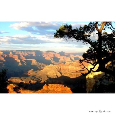 【萬水化工商城】PE薄膜專用2094 防老劑 免費拿樣 防老化劑防黃劑 經(jīng)濟型 馬蹄蓮