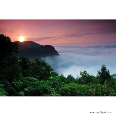 【萬水化工商城】水性涂料專用P351 防老劑 免費拿樣 防老化劑防黃劑 性價比高 馬蹄蓮