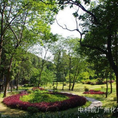 陶瓷用水基防護(hù)劑 水性防護(hù)劑 光亮劑