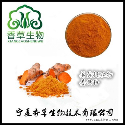 香草生物供應(yīng) 姜黃提取物 姜黃素95% 著色劑 姜黃粉