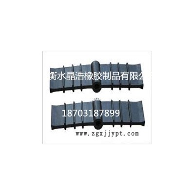 供應(yīng)青海晶浩中埋止水帶，西寧橡膠止水帶，河北衡水止水帶止水條