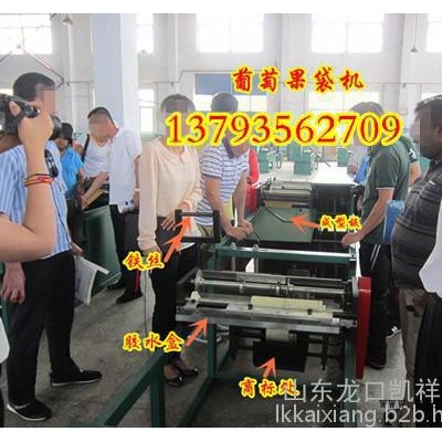 凱祥新型火龍果果袋機(jī) 火龍果套袋機(jī) 專業(yè)生產(chǎn)果袋機(jī)廠家 制袋機(jī)