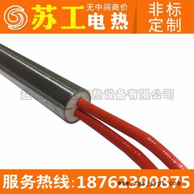 【蘇工電熱】不銹鋼模具加熱管 硫化機加熱棒 220V/1.2KW模具干燒加熱管 舉報 仿進口高功率單頭加熱管