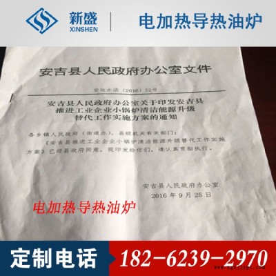 【新盛源**反應(yīng)釜、硫化機(jī)專(zhuān)用電加熱導(dǎo)熱油爐，非標(biāo)定制女電加熱導(dǎo)熱油爐