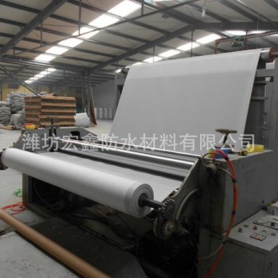 宏鑫防水材料，EVA蓄排水板