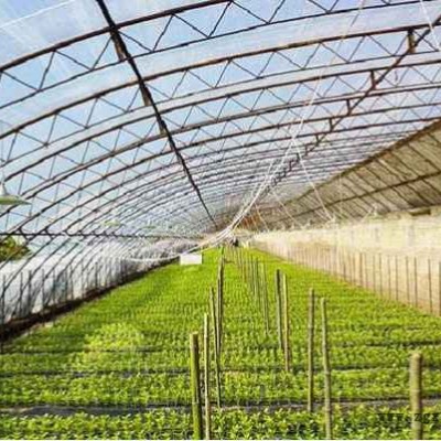 供應(yīng)  PO薄膜     EVA溫室棚膜  大棚膜，黑白膜，無滴膜，黑白膜