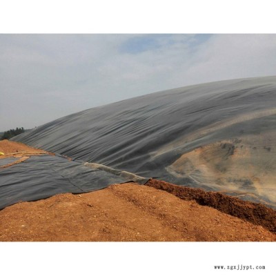 環(huán)悅 防滲膜 蓄水池防滲膜 　高密度聚乙烯防滲膜  支持定制