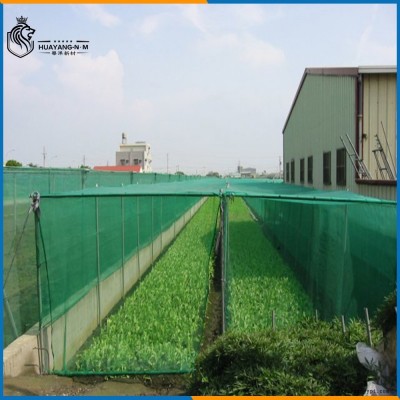 華洋新材料高密度聚乙烯防風(fēng)網(wǎng)防蟲網(wǎng)