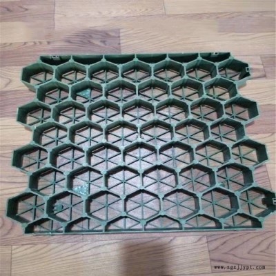 綠達(dá) 長期生產(chǎn) HDPE植草格 HDPE植草格價格 歡迎咨詢下單