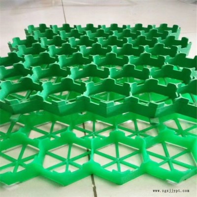 綠達(dá) 專業(yè)生產(chǎn) HDPE植草格 HDPE植草格價格 歡迎咨詢下單