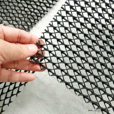 HDPE復合三維排水網(wǎng) HDPE排水網(wǎng)