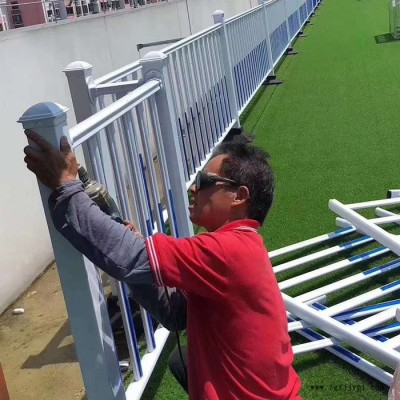 城市市政護(hù)欄 pvc市政護(hù)欄 京式道路護(hù)欄 森博 源頭廠家