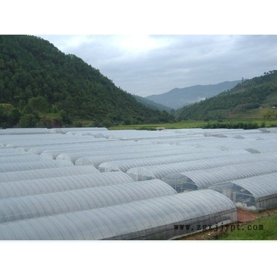 供應(yīng)  EVA棚膜     EVA溫室棚膜  PO大棚膜，黑白膜，無(wú)滴膜