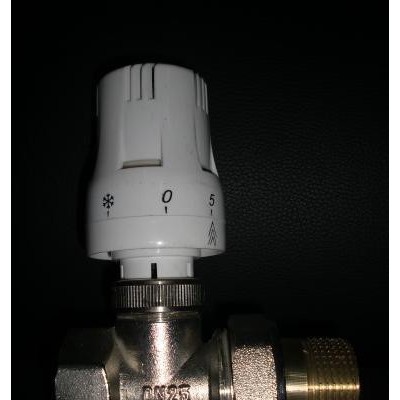 供應專業(yè)水暖閥門生產(chǎn)廠家，供應各類球閥 自動溫控閥 止回閥 溫控閥 PPE球閥