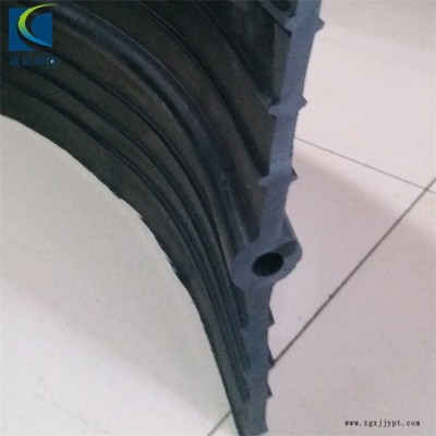 誠誠批發(fā)報(bào)價(jià) 埋式橡膠止水帶 可卸式止水帶 橡塑止水帶鋪裝工藝