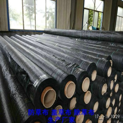山東100克防草布,果園除草布_蓋草布_抑制雜草生長(zhǎng)地布,透氣_透水_防蟲害