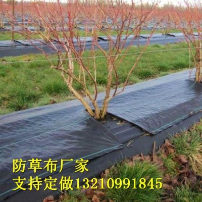 山東德州宇潤(rùn)土工材料廠家-加工定制防草布工農(nóng)業(yè)用塑料制品編織防草布-可降解果樹(shù)果園防草布果園園林防草布-花卉防草專用布