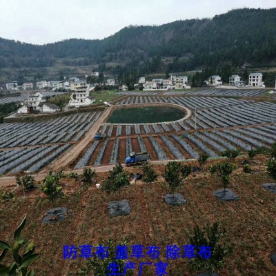 寧夏100克防草布,果園除草布_蓋草布_抑制雜草生長地布,透氣_透水_防蟲害