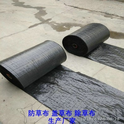 云南120克防草布,果園除草布_蓋草布_抑制雜草生長(zhǎng)地布,透氣_透水_防蟲害