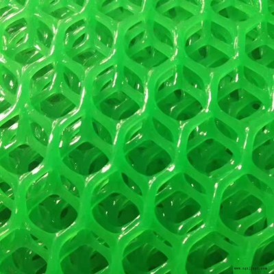 塑料養(yǎng)殖網(wǎng)、新型塑料網(wǎng) 養(yǎng)雞育雛網(wǎng) 養(yǎng)鴨網(wǎng) 塑料平網(wǎng)