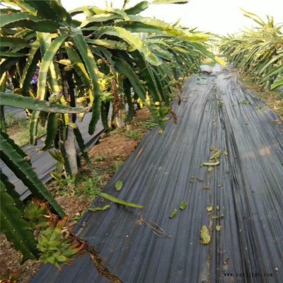 宇潤(rùn)源頭園藝地布每卷1米500米-6200米 茶園防草布-- 葡萄園 苗圃防草布 蘋(píng)果園花卉防草布