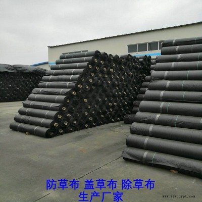 山東120克防草布,果園除草布_蓋草布_抑制雜草生長地布,透氣_透水_防蟲害