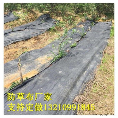 園藝地布廠家，果園園林防草布 室內(nèi)花盆擺放地布 廠家質(zhì)量好價(jià)格合理