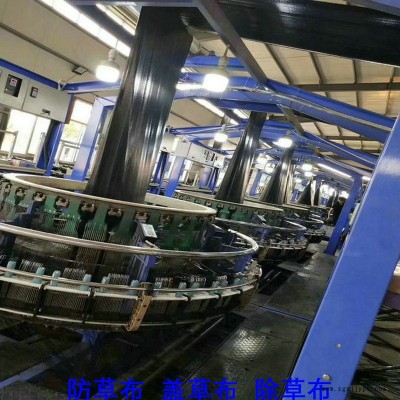 湖南PP防草布,果園除草布_蓋草布_抑制雜草生長(zhǎng)地布,透氣_透水_防蟲害