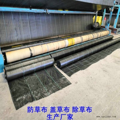 上海PP防草布,果園除草布_蓋草布_抑制雜草生長(zhǎng)地布,透氣_透水_防蟲害