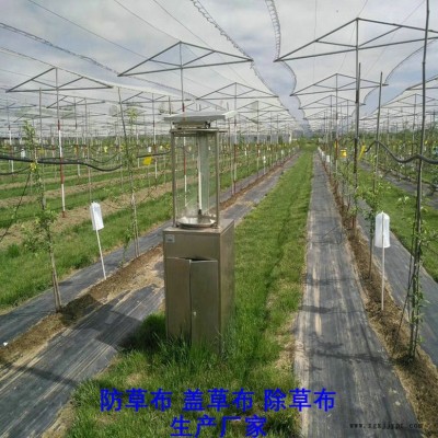 河北P(pán)E防草布,果園除草布_蓋草布_抑制雜草生長(zhǎng)地布,透氣_透水_防蟲(chóng)害