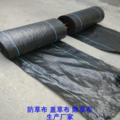 青海防草布廠家,果園除草布_蓋草布_抑制雜草生長(zhǎng)地布,透氣_透水_防蟲(chóng)害