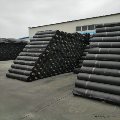 廣東地布廠家,PP地布批發(fā),果園地布,100克地布價(jià)格