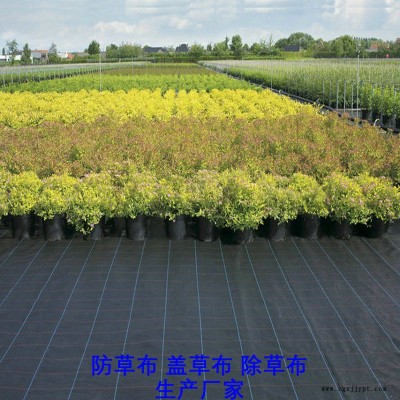 河北PP防草布 果園蓋草除草地布 滲水性好使用壽命長