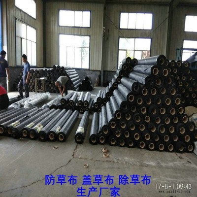 安徽PE防草布,果園除草布_蓋草布_抑制雜草生長(zhǎng)地布,透氣_透水_防蟲(chóng)害
