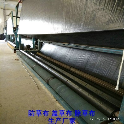 黑龍江PE防草布,果園除草布_蓋草布_抑制雜草生長(zhǎng)地布,透氣_透水_防蟲害