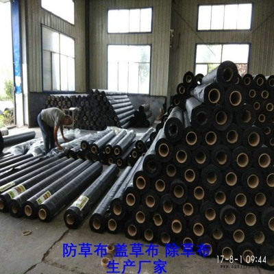浙江PP防草布,果園除草布_蓋草布_抑制雜草生長(zhǎng)地布,透氣_透水_防蟲害