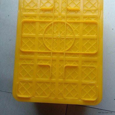 泥鰍箱，臨沂泥鰍周轉(zhuǎn)箱，塑料泥鰍箱