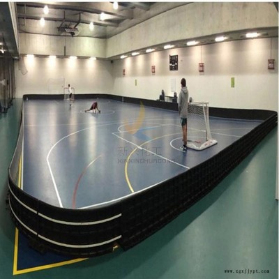 旱地冰球圍擋 防護(hù)旱地冰球圍擋 旱地冰球圍擋生產(chǎn)廠家