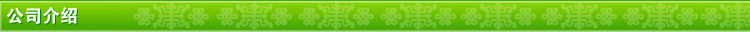 公司介紹