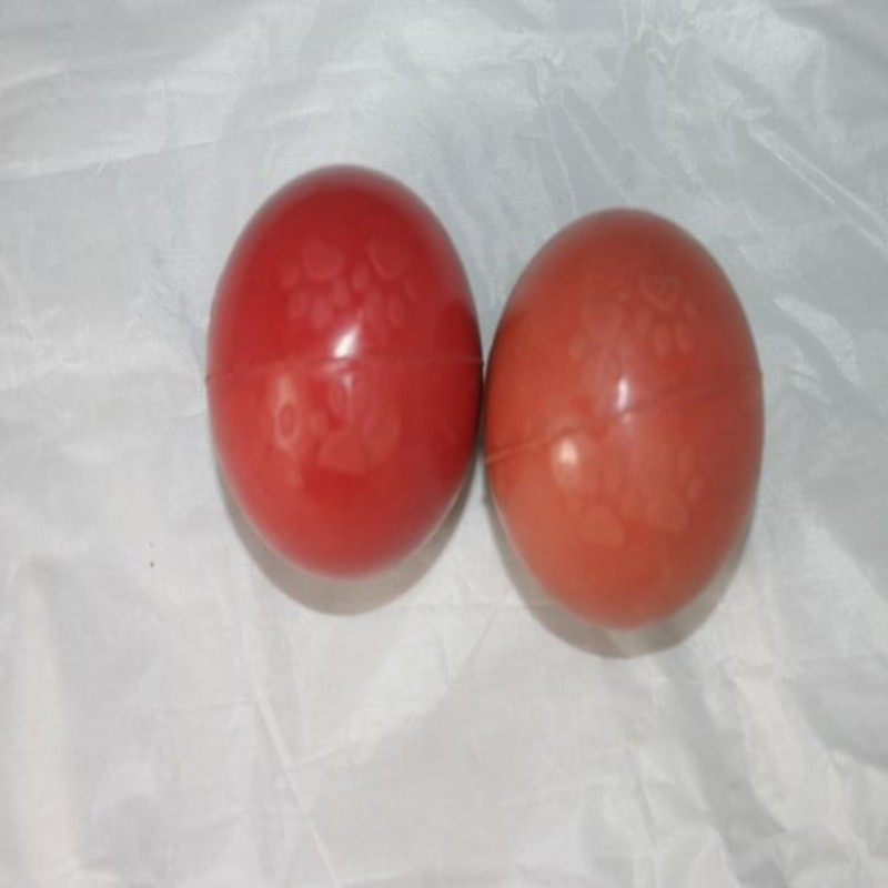 昇順 彩色橡膠球 天然橡膠彈球 天然橡膠球