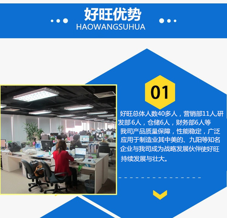 辦工圖片-優(yōu)勢1團隊優(yōu)勢_副本_副本