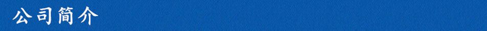 公司簡介_副本
