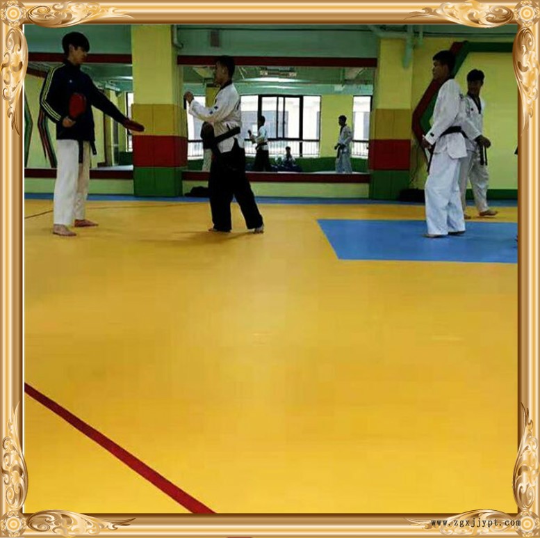 生產(chǎn)廠家 室內(nèi)游樂場地膠 籃球館PVC塑膠