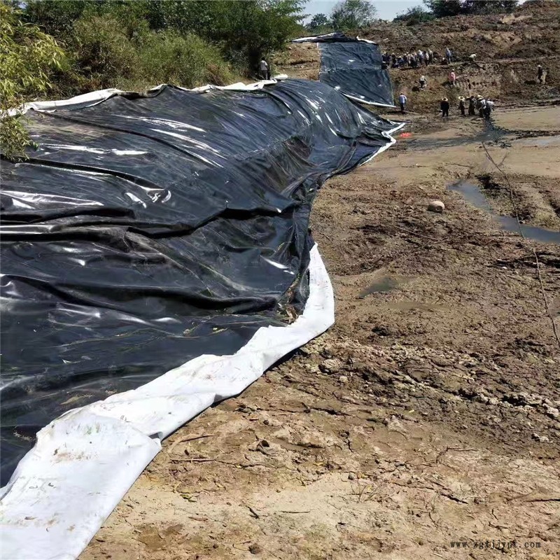 潤澤 沉淀池防滲膜 HDPE防滲膜廠家供應